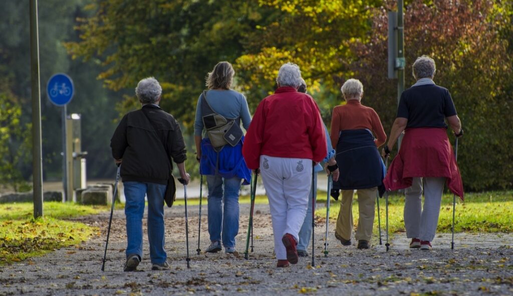 Udostępniamy informacje o organizowanych zajęciach nordic walking, które mają miejsce w Parku Bródnowskim